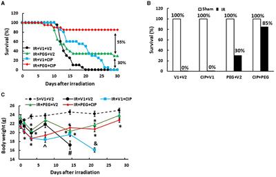 Ciprofloxacin and pegylated G-CSF combined therapy mitigates brain hemorrhage and mortality induced by ionizing irradiation